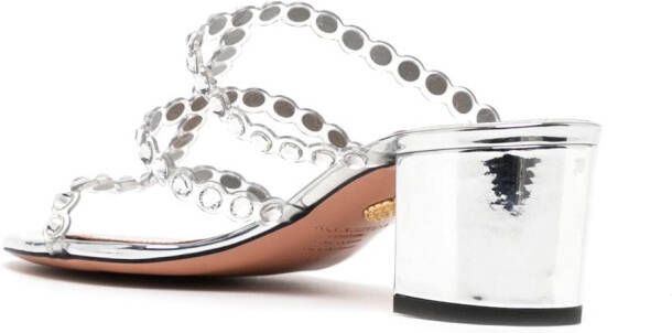 Aquazzura Tequila Plexi muiltjes Zilver