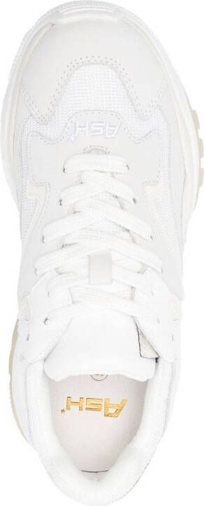 Ash Addict low-top sneakers Wit