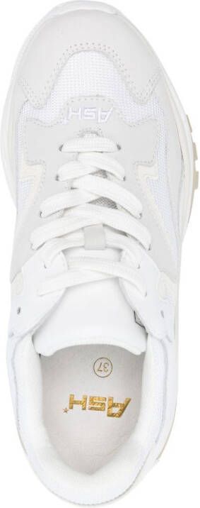 Ash Addict low-top sneakers Wit