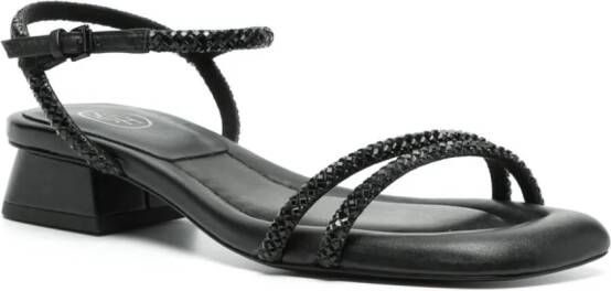Ash Icaro sandalen verfraaid met kristallen Zwart