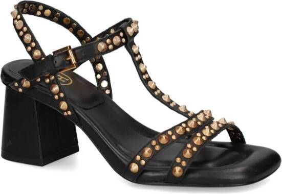 Ash Janice sandalen met studs 65 mm Zwart