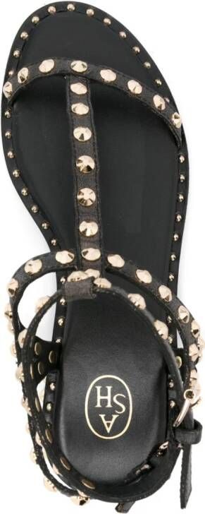 Ash Panic sandalen met studs Zwart