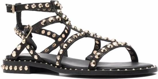 Ash Precious sandalen met studs Zwart