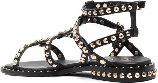 Ash Precious sandalen met studs Zwart