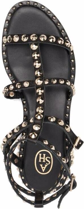 Ash Precious sandalen met studs Zwart