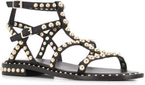 Ash Precious sandalen met studs Zwart