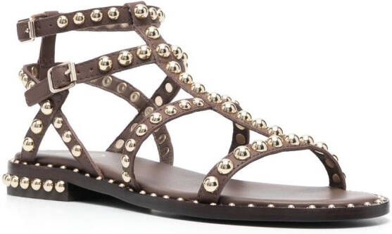 Ash Precious sandalen met studs Bruin