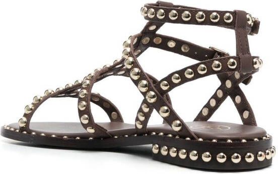 Ash Precious sandalen met studs Bruin