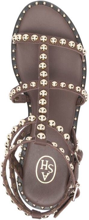 Ash Precious sandalen met studs Bruin