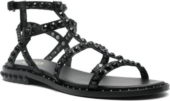 Ash Precious Bis sandalen Zwart