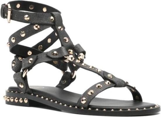 Ash Sandalen verfraaid met studs Zwart