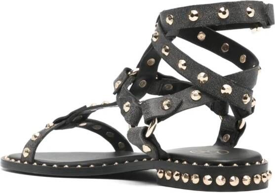 Ash Sandalen verfraaid met studs Zwart