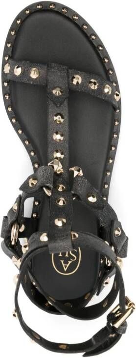 Ash Sandalen verfraaid met studs Zwart