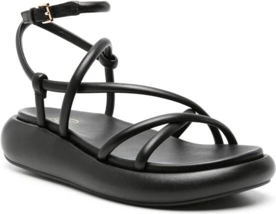 Ash Vice leren sandalen Zwart