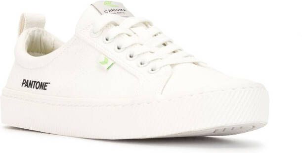 Cariuma Sneakers met contrast Wit