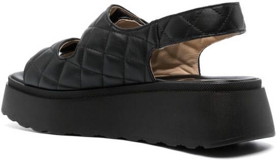 Casadei Gewatteerde sandalen Zwart