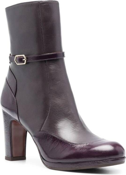 Chie Mihara Custor 100mm leather boots Paars