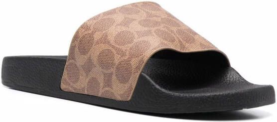 Coach Slippers met logo Bruin