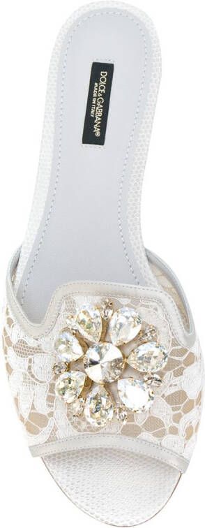 Dolce & Gabbana Bianca flat sandals Grijs