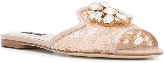 Dolce & Gabbana Bianca slippers Beige