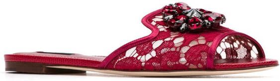 Dolce & Gabbana Bianca crystal-embellished lace sandals Rood