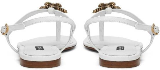 Dolce & Gabbana Devotion leren sandalen Wit