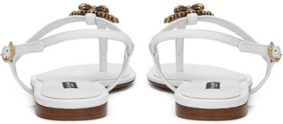 Dolce & Gabbana Devotion leren sandalen Wit