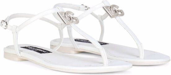 Dolce & Gabbana DG leren sandalen Wit
