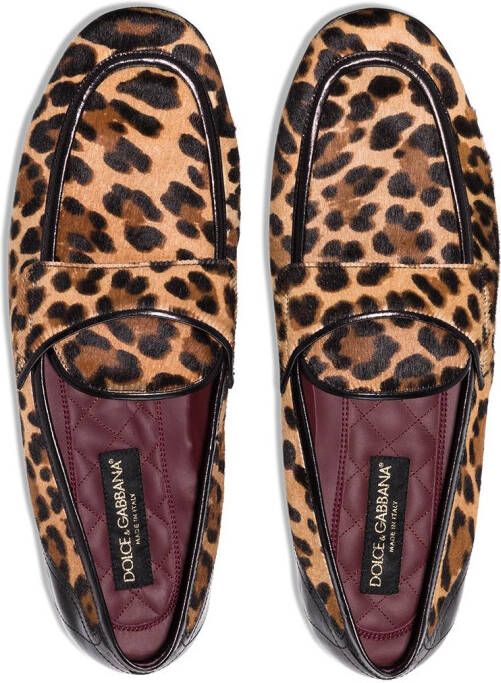 Dolce & Gabbana Erice loafers met luipaardprint Bruin