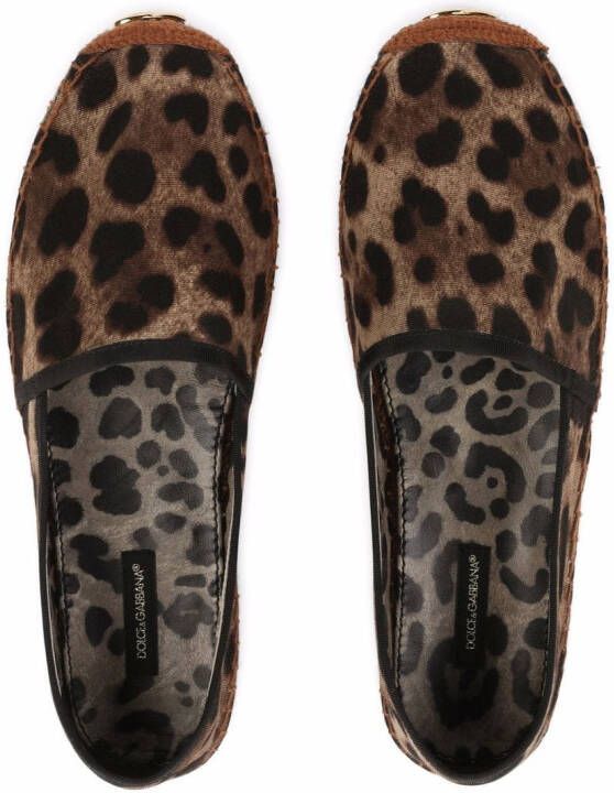 Dolce & Gabbana Espadrilles met luipaardprint en logolabel Bruin