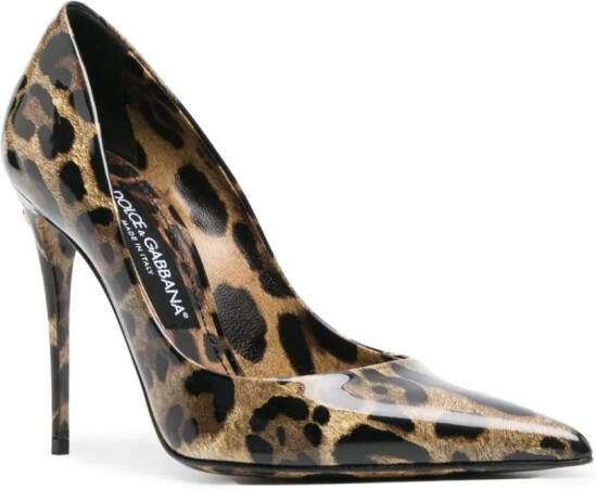 Dolce & Gabbana Icon pumps met luipaardprint Bruin