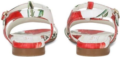 Dolce & Gabbana Kids Sandalen met logoplakkaat Rood