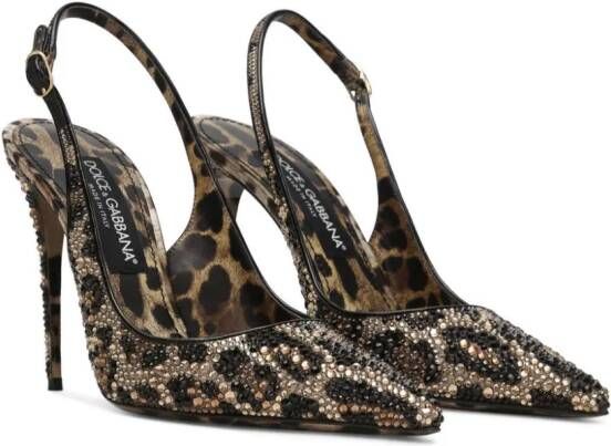 Dolce & Gabbana Leren pumps Bruin