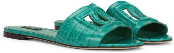 Dolce & Gabbana DG Millennials leren sandalen Groen