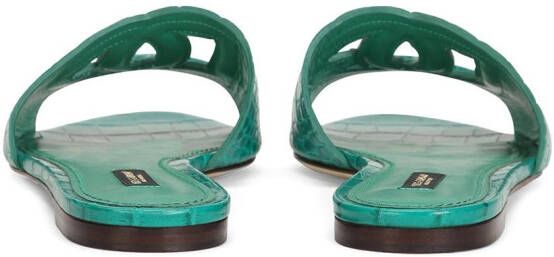 Dolce & Gabbana DG Millennials leren sandalen Groen