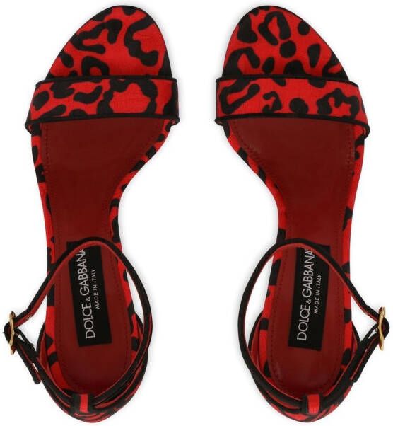 Dolce & Gabbana Sandalen met luipaardprint Rood