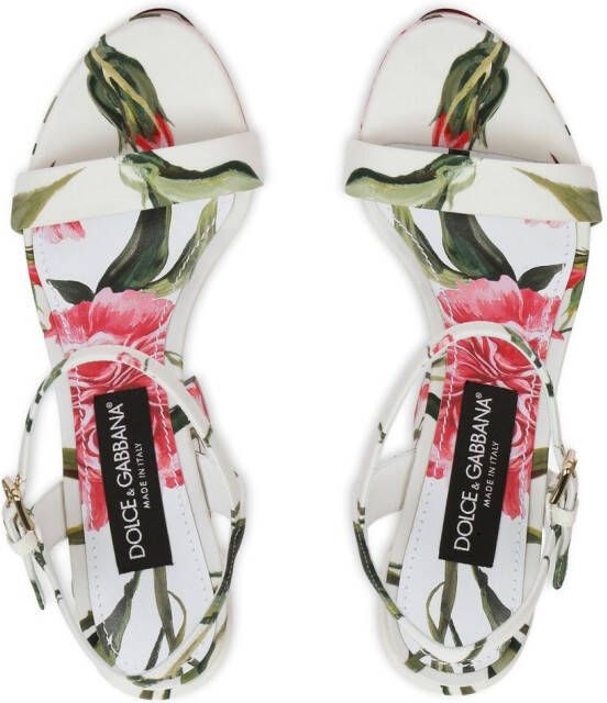 Dolce & Gabbana Sandalen met plateauzool Wit