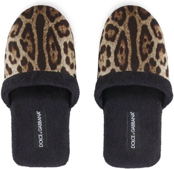 Dolce & Gabbana Slippers met luipaardprint Zwart
