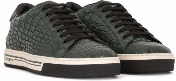 Dolce & Gabbana Sneakers met krokodillenleer-effect Groen