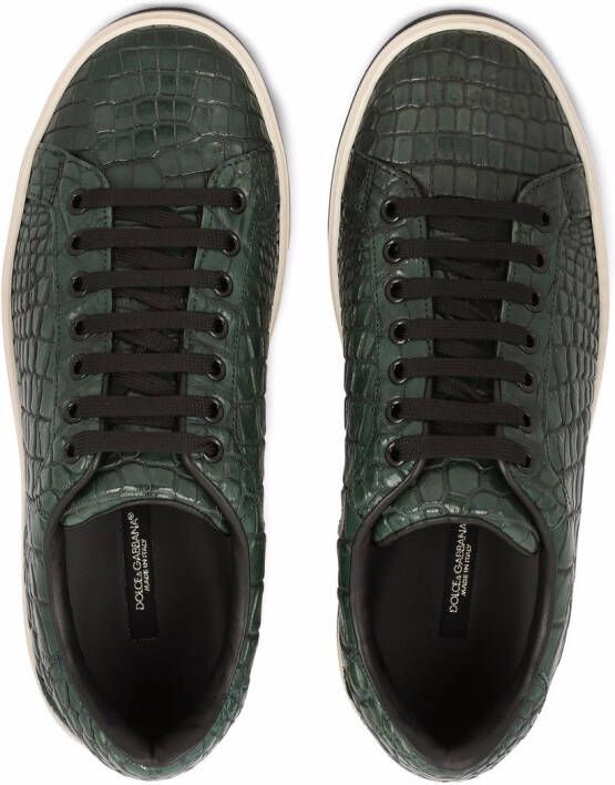 Dolce & Gabbana Sneakers met krokodillenleer-effect Groen