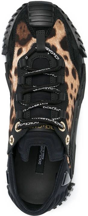 Dolce & Gabbana Sneakers met luipaardprint Bruin