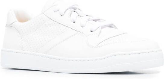 Doucal's Low-top sneakers Wit