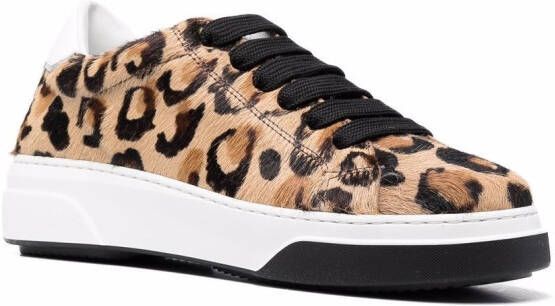 Dsquared2 Sneakers met luipaardprint Bruin