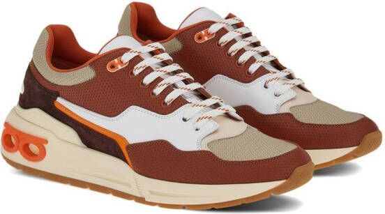 Ferragamo Low-top sneakers Bruin