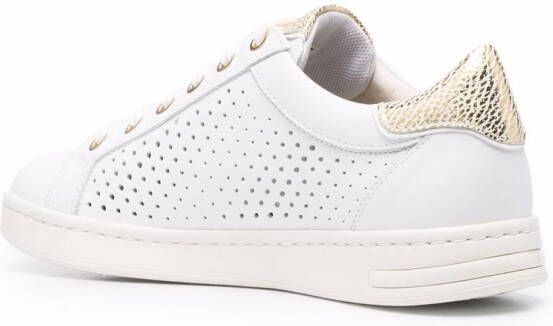 Geox Jaysen low-top sneakers Wit