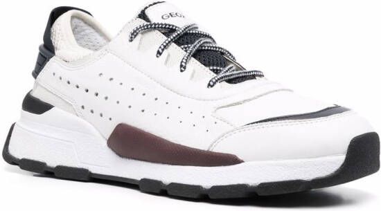 Geox Regale low-top sneakers Wit
