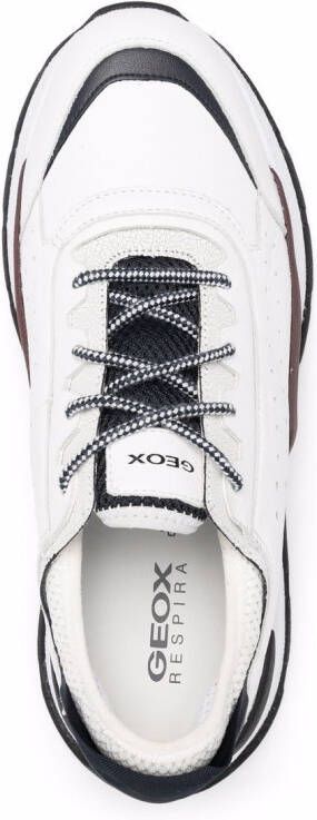 Geox Regale low-top sneakers Wit