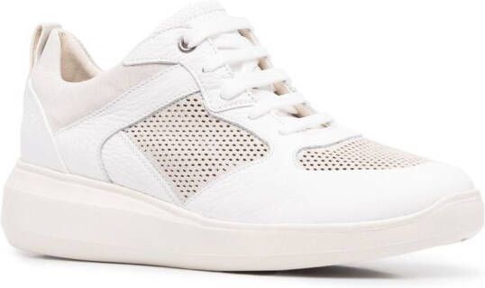 Geox Rubidia low-top sneakers Wit