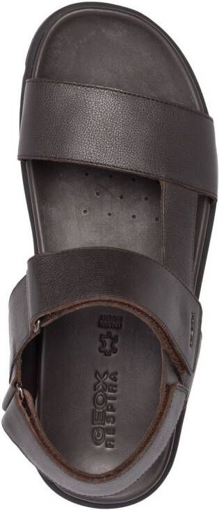 Geox Sandalen met bandjes Zwart