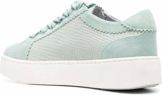 Geox Sneakers met slangenleer-effect Blauw